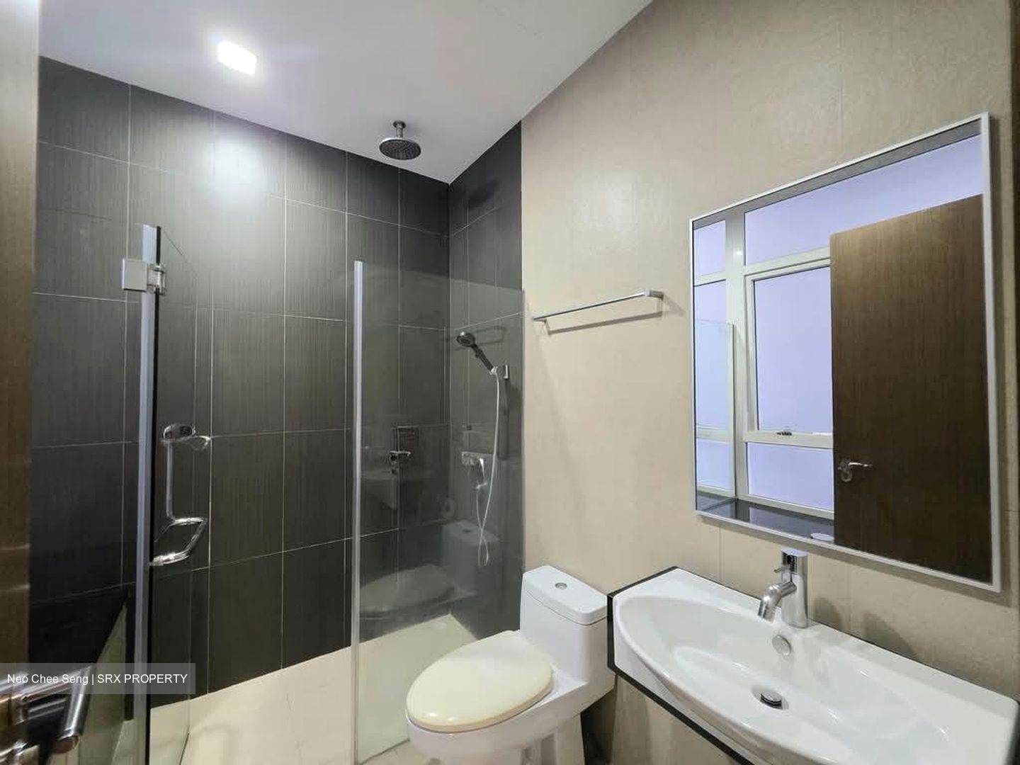 Palm Galleria (D15), Apartment #529847891